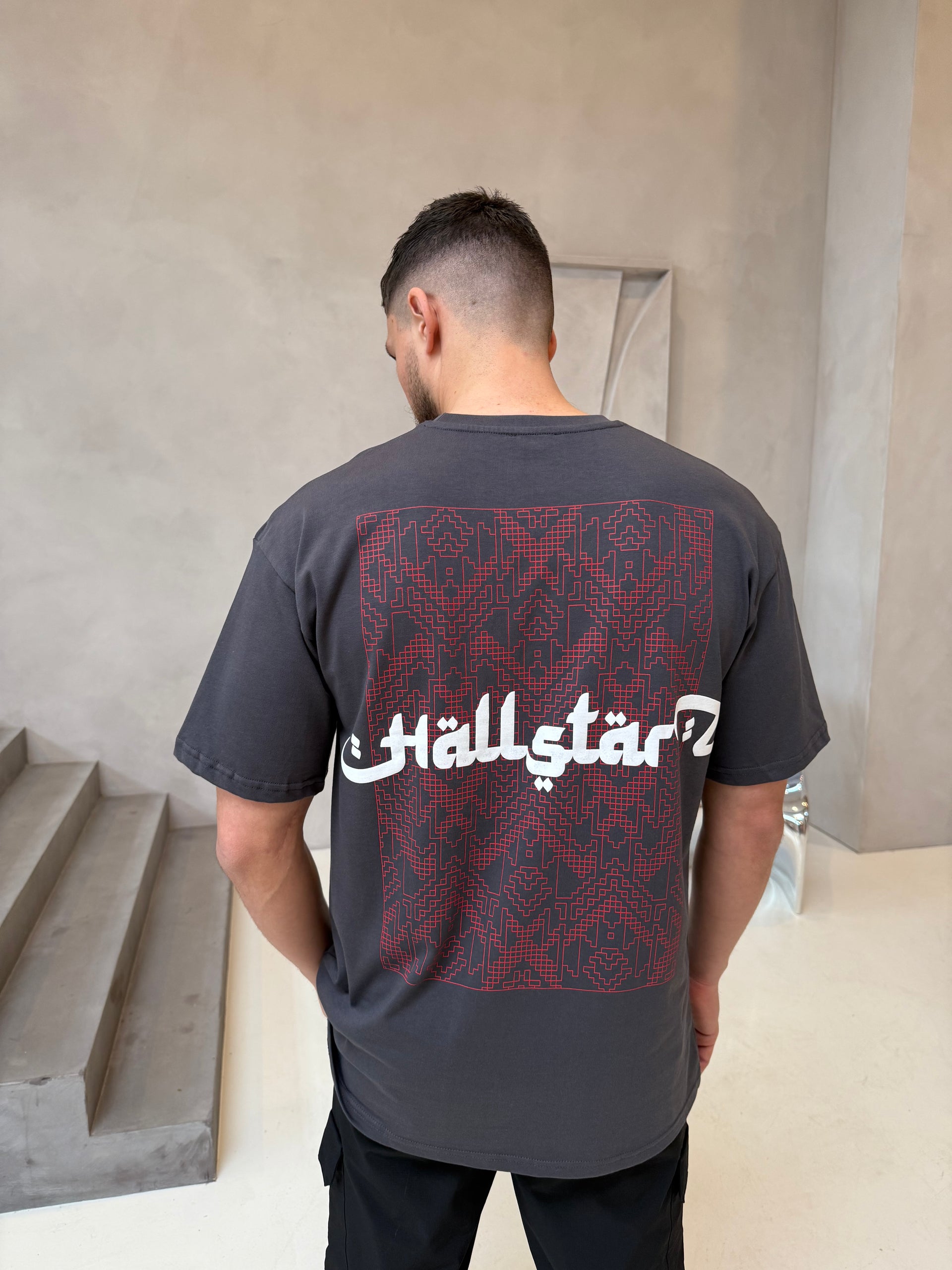 T-shirt HALLSTAR gris